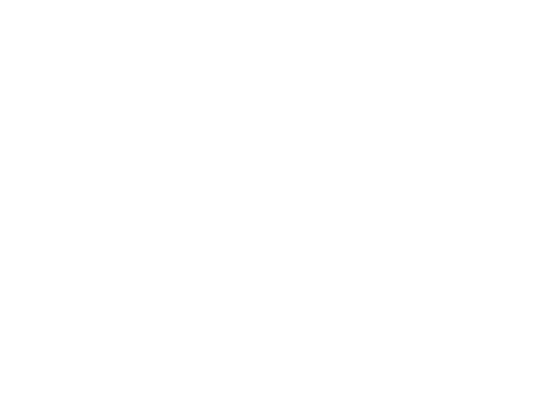PICNIC MOTEL House Project .